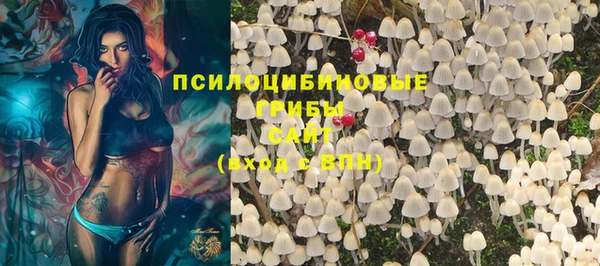 прущая мука Абаза