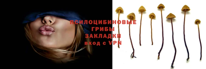 герыч Абинск