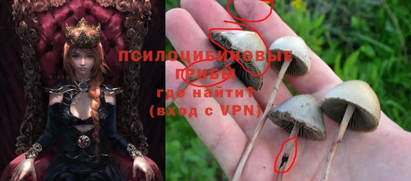 прущая мука Абаза